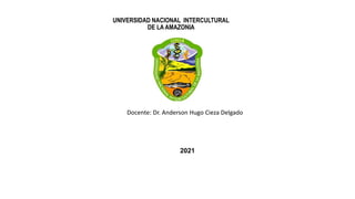 UNIVERSIDAD NACIONAL INTERCULTURAL
DE LA AMAZONIA
Docente: Dr. Anderson Hugo Cieza Delgado
2021
 