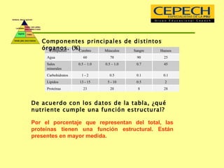 Componentes principales de distintos órganos. (%) De acuerdo con los datos de la tabla, ¿qué nutriente cumple una función estructural? Por el porcentaje que representan del total, l as proteínas   tienen una función estructural. Están presentes en mayor medida. 28 8 20 23 Proteínas  2 0.5 5 - 10 13 - 15 Lípidos  0.1 0.1 0.5 1 - 2 Carbohidratos 45 0.7 0.5 – 1.0 0.5 – 1.0 Sales minerales 25 90 70 60 Agua Huesos Sangre Músculos Cerebro Compuesto 