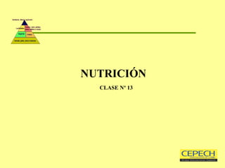 NUTRICIÓN   CLASE Nº 13 