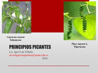 PRINCIPIOS PICANTES
Lic. Igor Iván Villalta
investigacionquimica@usam.edu.sv
2016
Capsicum annum
Solanaceae
Piper nigrum L,
Piperaceae
 