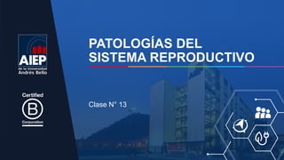 PATOLOGÍAS DEL
SISTEMA REPRODUCTIVO
Clase N° 13
 