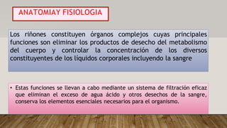 ANATOMIAY FISIOLOGIA
Los riñones constituyen órganos complejos cuyas principales
funciones son eliminar los productos de desecho del metabolismo
del cuerpo y controlar la concentración de los diversos
constituyentes de los líquidos corporales incluyendo la sangre
• Estas funciones se llevan a cabo mediante un sistema de filtración eficaz
que eliminan el exceso de agua ácido y otros desechos de la sangre,
conserva los elementos esenciales necesarios para el organismo.
 