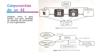 Componentes
de un SI
Integran entre sí para
formar una gran variedad
de sistemas de información
en una organización.
19
 