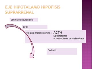Estímulos neuronales
CRH
Pro opio melano cortina : ACTH
Lipoproteinas
H. estimulante de melanocitos
Cortisol
 