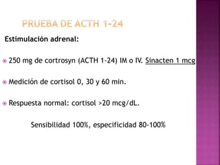 Estimulación adrenal:
 250 mg de cortrosyn (ACTH 1-24) IM o IV. Sinacten 1 mcg
 Medición de cortisol 0, 30 y 60 min.
 Respuesta normal: cortisol >20 mcg/dL.
Sensibilidad 100%, especificidad 80-100%
 