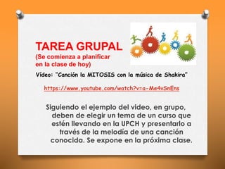 Vídeo: “Canción la MITOSIS con la música de Shakira”
https://www.youtube.com/watch?v=a-Me4vSnEns
TAREA GRUPAL
(Se comienza a planificar
en la clase de hoy)
Siguiendo el ejemplo del video, en grupo,
deben de elegir un tema de un curso que
estén llevando en la UPCH y presentarlo a
través de la melodía de una canción
conocida. Se expone en la próxima clase.
 