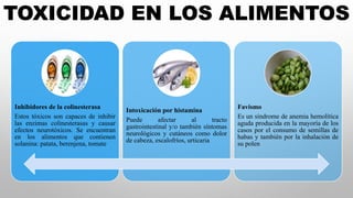 Inhibidores de la colinesterasa
Estos tóxicos son capaces de inhibir
las enzimas colinesterasas y causar
efectos neurotóxicos. Se encuentran
en los alimentos que contienen
solanina: patata, berenjena, tomate
Intoxicación por histamina
Puede afectar al tracto
gastrointestinal y/o también síntomas
neurológicos y cutáneos como dolor
de cabeza, escalofríos, urticaria
Favismo
Es un síndrome de anemia hemolítica
aguda producida en la mayoría de los
casos por el consumo de semillas de
habas y también por la inhalación de
su polen
TOXICIDAD EN LOS ALIMENTOS
 