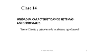 Clase 14
Tema: Diseño y estructura de un sistema agroforestal
UNIDAD IV. CARACTERÍSTICAS DE SISTEMAS
AGROFORESTALES
1
Dr. Hipólito Pérez Iglesias
 