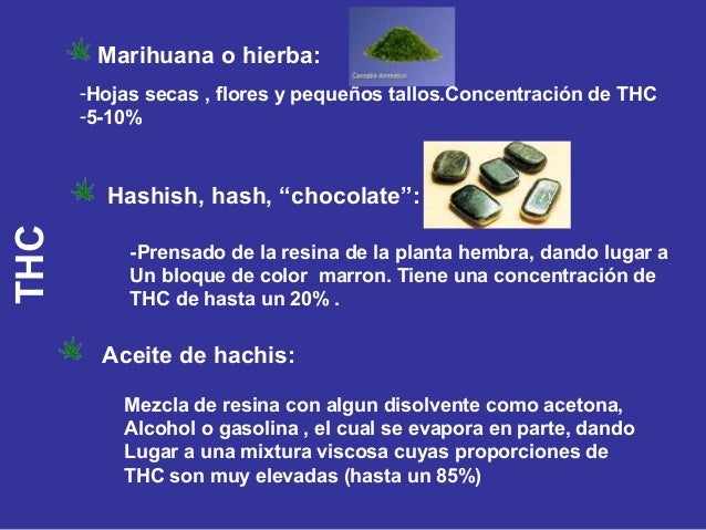 El coche el gasto grande de la gasolina