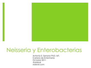 Neisseria y Enterobacterias
Antonio E. Serrano PhD. MT.
Carrera de Enfermería
Octubre 2011
@xideral
xideral.com
 