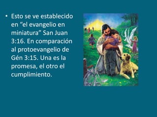Esto se ve establecido en “el evangelio en miniatura” San Juan 3:16. En comparación al protoevangelio de Gén 3:15. Una es la promesa, el otro el cumplimiento.