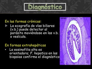 En las formas crónicas:
 La ecografía de vías biliares
(v.b.) puede detectar al
parásito moviéndose en las v.b.
o vesícula.
En formas extrahepáticas
• La eosinofilia alta es
orientadora; F. hepatica en las
biopsias confirma el diagnóstico.
 