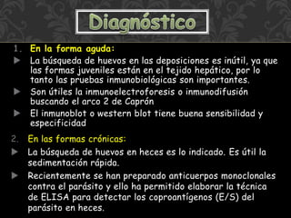 1. En la forma aguda:
 La búsqueda de huevos en las deposiciones es inútil, ya que
las formas juveniles están en el tejido hepático, por lo
tanto las pruebas inmunobiológicas son importantes.
 Son útiles la inmunoelectroforesis o inmunodifusión
buscando el arco 2 de Caprón
 El inmunoblot o western blot tiene buena sensibilidad y
especificidad
2. En las formas crónicas:
 La búsqueda de huevos en heces es lo indicado. Es útil la
sedimentación rápida.
 Recientemente se han preparado anticuerpos monoclonales
contra el parásito y ello ha permitido elaborar la técnica
de ELISA para detectar los coproantígenos (E/S) del
parásito en heces.
 