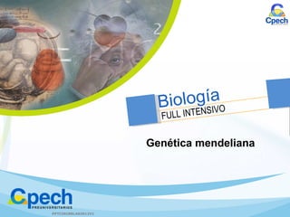Genética mendeliana PPTCINCBBLA03012V1 Biología FULL INTENSIVO 