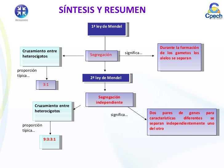 15+ Mapa Conceptual Mendeliana most complete