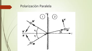 Polarización Paralela
 