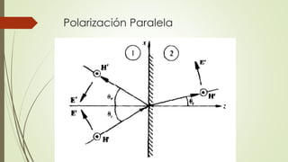 Polarización Paralela 
 