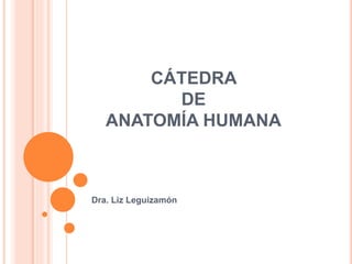 CÁTEDRA
DE
ANATOMÍA HUMANA
Dra. Liz Leguizamón
 