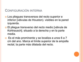 Clase 14 SISTEMA DIGESTIVO Intestino Grueso pptx clase-14-sistema-digestivo-intestino-grueso-pptx