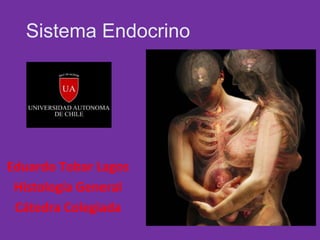 Sistema Endocrino

Eduardo Tobar Lagos
Histología General
Cátedra Colegiada

 