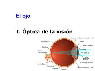 El ojo

I. Óptica de la visión
 