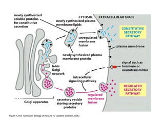 Clase15 Sistema Nervioso Final