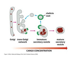 Clase15 Sistema Nervioso Final