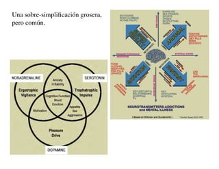 Clase15 Sistema Nervioso Final