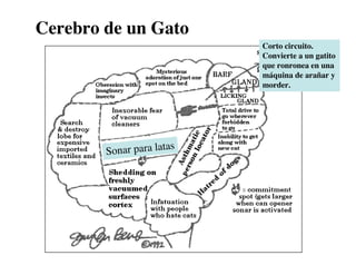 Clase15 Sistema Nervioso Final