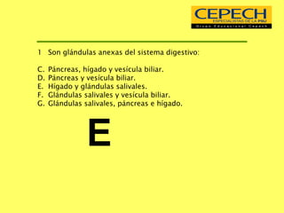 Son glándulas anexas del sistema digestivo: Páncreas, hígado y vesícula biliar. Páncreas y vesícula biliar. Hígado y glándulas salivales. Glándulas salivales y vesícula biliar. Glándulas salivales, páncreas e hígado. E 
