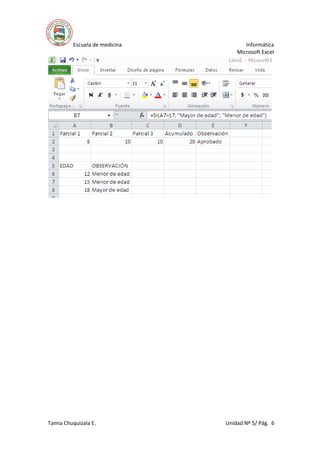 Escuela de medicina Informática
Microsoft Excel
Tamia Chuquizala E. Unidad Nº 5/ Pág. 6
 