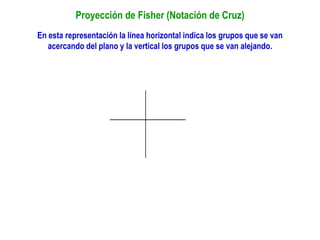 Proyección de Fisher (Notación de Cruz)
En esta representación la línea horizontal indica los grupos que se van
acercando del plano y la vertical los grupos que se van alejando.
 