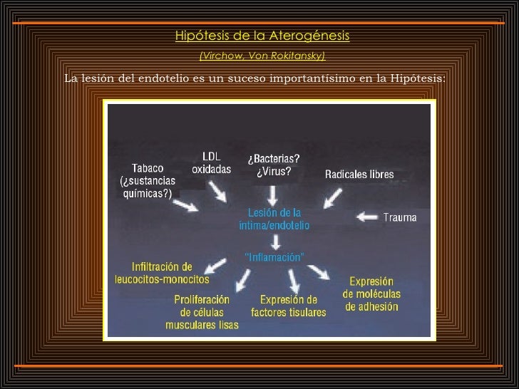 Maniquíes aproximadamente tasa de metabolismo basal definicion