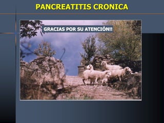 PANCREATITIS CRONICA
GRACIAS POR SU ATENCIÓN!!
 
