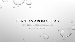 PLANTAS AROMATICAS
MG. NELIDA M. MILLONES RIVALLES
CLASE N° 16 (10/7/2023)
 