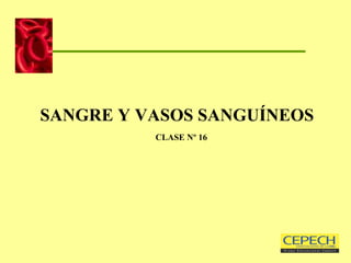 SANGRE Y VASOS SANGUÍNEOS   CLASE Nº 16 