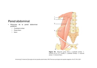 Comprehensive Overview of Abdominal Wall Anatomy and Hernias: Diagnosis ...