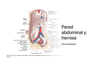 Comprehensive Overview of Abdominal Wall Anatomy and Hernias: Diagnosis ...