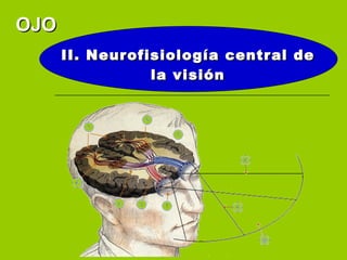 OJO
      II. Neurofisiología central de
                 la visión
 