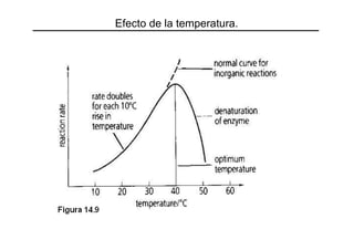 Efecto de la temperatura.

 
