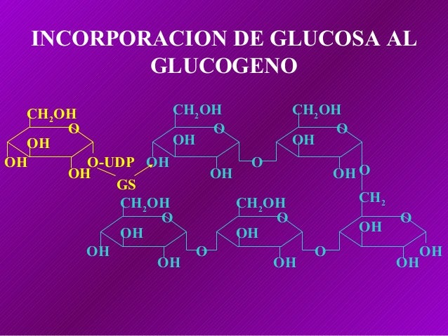 Ayuda con calculadora de metabolismo basal