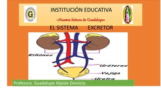 INSTITUCIÓN EDUCATIVA
“«Nuestra Señora de Guadalupe»
EL SISTEMA EXCRETOR
Profesora. Guadalupe Alpiste Dionicio.
 