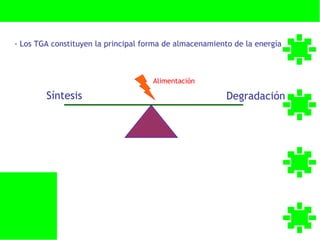 - Los TGA constituyen la principal forma de almacenamiento de la energía



                                     Alimentación

        Síntesis                                         Degradación
 