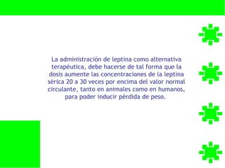 La administración de leptina como alternativa
  terapéutica, debe hacerse de tal forma que la
 dosis aumente las concentraciones de la leptina
sérica 20 a 30 veces por encima del valor normal
circulante, tanto en animales como en humanos,
       para poder inducir pérdida de peso.
 