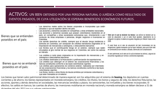 ACTIVOS: UN BIEN OBTENIDO POR UNA PERSONA NATURAL O JURÍDICA COMO RESULTADO DE
EVENTOS PASADOS, DE CUYA UTILIZACIÓN SE ESPERAN BENEFICIOS ECONÓMICOS FUTUROS.
Bienes que se entienden
poseídos en el país:
Bienes que no se entienden
poseídos en el país:
Los bienes que tienen valor patrimonial determinado de manera especial, son los adquiridos por el sistema de leasing, los depósitos en cuentas
corrientes y de ahorro, los bienes representados en moneda extranjera, los créditos, los títulos, los bonos y seguros de vida, los derechos fiduciarios, las
acciones, aportes y demás derechos en sociedades, las mercancías vendidas a plazos, los semovientes, los inmuebles y los bienes incorporales. El
efectivo, los saldos en bancos, las cuentas de ahorro, las inversiones mobiliarias en moneda nacional y moneda extranjera se deben declarar a 31 de
 