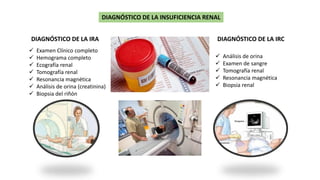 clase_18_FISIOPATOLOGIA_DEL_RIN_ON_Y_VIAS_URINARIAS_II (2).pdf