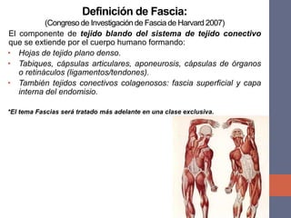 Definición de Fascia:
(Congreso de Investigación de Fascia de Harvard 2007)
El componente de tejido blando del sistema de tejido conectivo
que se extiende por el cuerpo humano formando:
• Hojas de tejido plano denso.
• Tabiques, cápsulas articulares, aponeurosis, cápsulas de órganos
o retináculos (ligamentos/tendones).
• También tejidos conectivos colagenosos: fascia superficial y capa
interna del endomisio.
*El tema Fascias será tratado más adelante en una clase exclusiva.
 