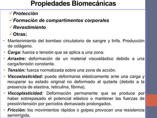 Propiedades Biomecánicas
Protección
Formación de compartimentos corporales
Revestimiento
Otras:
• Mantenimiento del bombeo circulatorio de sangre y linfa. Producción
de colágeno.
• Carga: fuerza o tensión que se aplica a una zona.
• Arrastre: deformación de un material viscoelástico debido a una
carga/tensión constante.
• Tensión: fuerza normalizada sobre una zona de acción.
• Viscoelasticidad: puede deformarse elásticamente ante una carga y
recuperar su estado original no deformado al quitarla (debido a la
presencia de elastina, reticulina, fibrina).
• Viscoplasticidad: Deformación permanente que se produce por
haber sobrepasado el potencial elástico o mantener las fuerzas de
presión/tensión por períodos demasiado prolongados.
• Fricción: los movimientos rápidos o golpes provocan una resistencia
semirrígida.
 