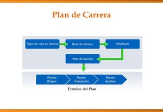 Plan de Carrera

 