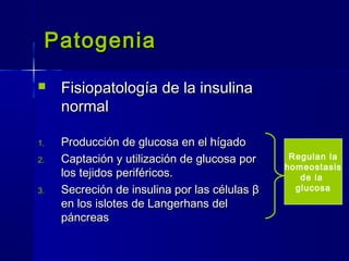 PatogeniaPatogenia
 Fisiopatología de la insulinaFisiopatología de la insulina
normalnormal
1.1. Producción de glucosa en el hígadoProducción de glucosa en el hígado
2.2. Captación y utilización de glucosa porCaptación y utilización de glucosa por
los tejidos periféricos.los tejidos periféricos.
3.3. Secreción de insulina por las célulasSecreción de insulina por las células ββ
en los islotes de Langerhans delen los islotes de Langerhans del
páncreaspáncreas
Regulan la
homeostasis
de la
glucosa
 